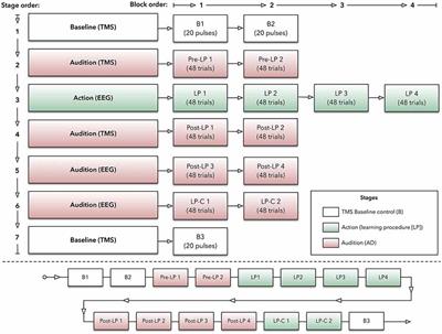 Learning to Expect: Predicting Sounds During Movement Is Related to Sensorimotor Association During Listening